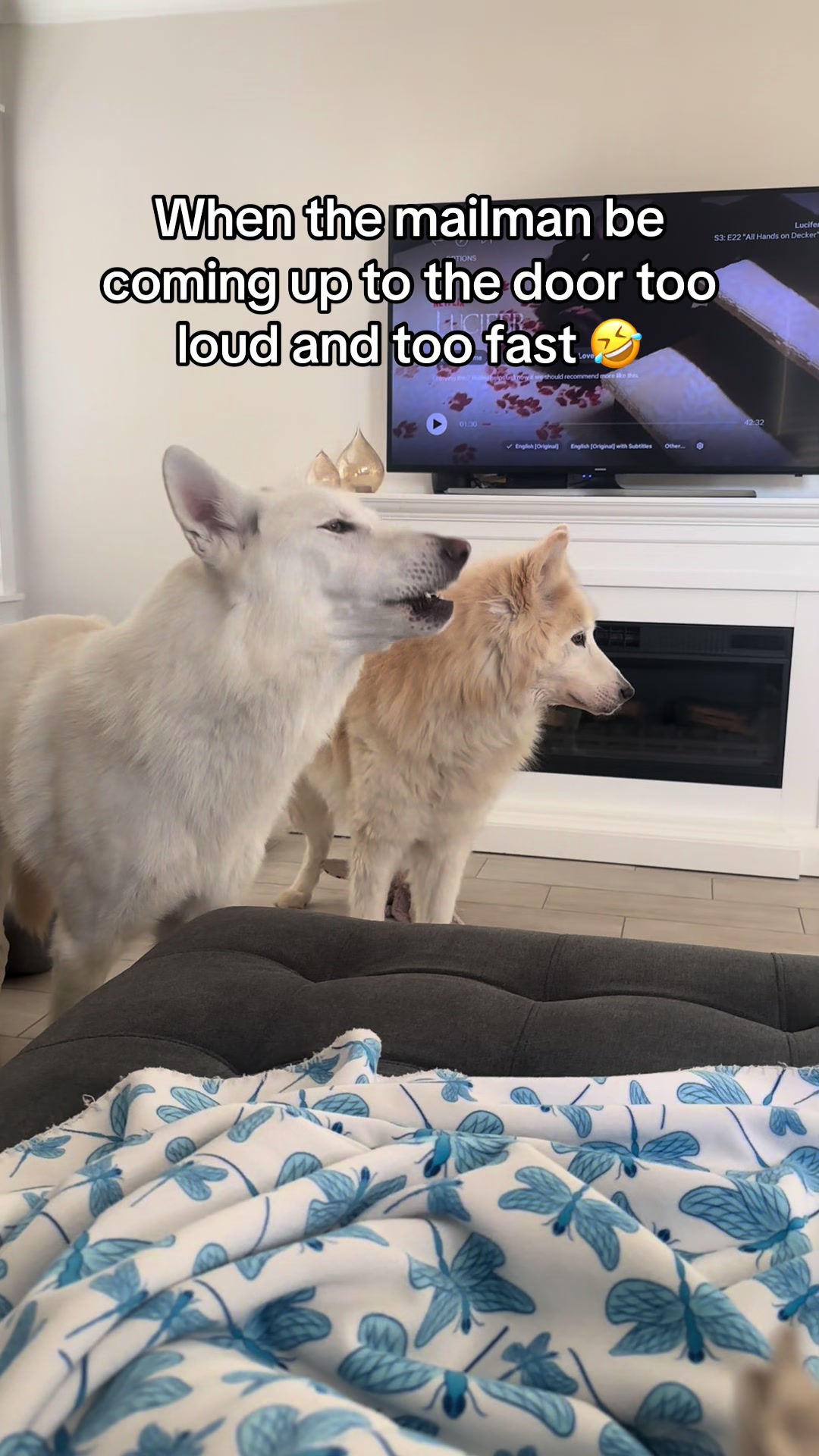 @Loki the Flame Keeper 🐺