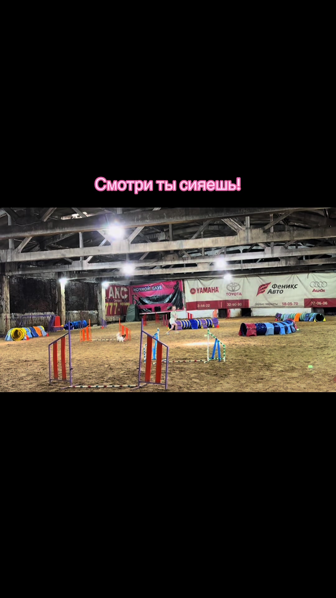 @Тгк: ⚡️🐾Хвостатый мир🐾⚡️