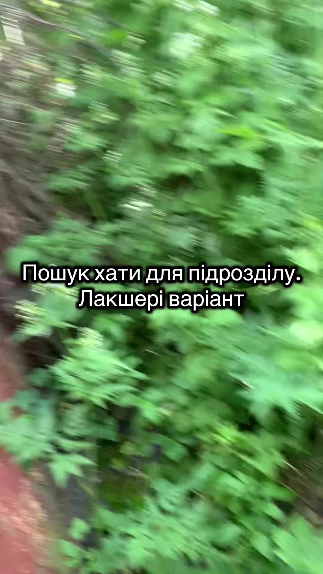 @КОТЯРА🇺🇦