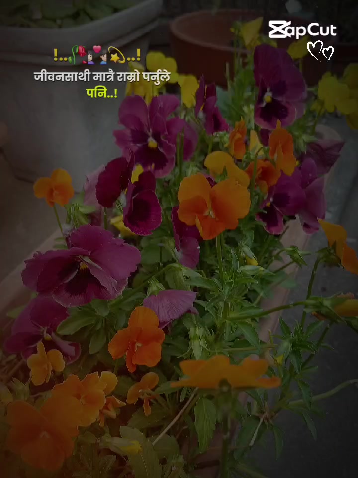 @Gitarjun💕