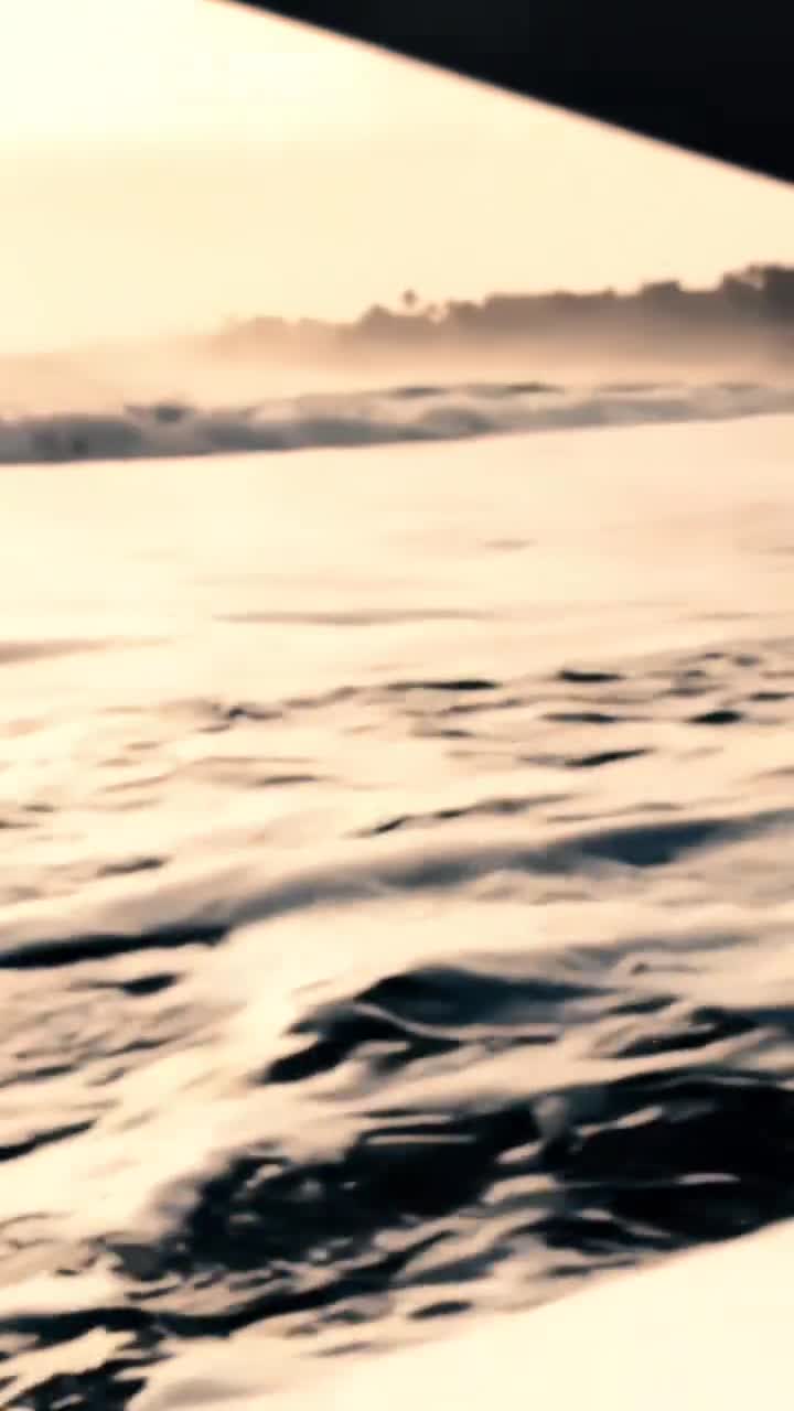 @🇽