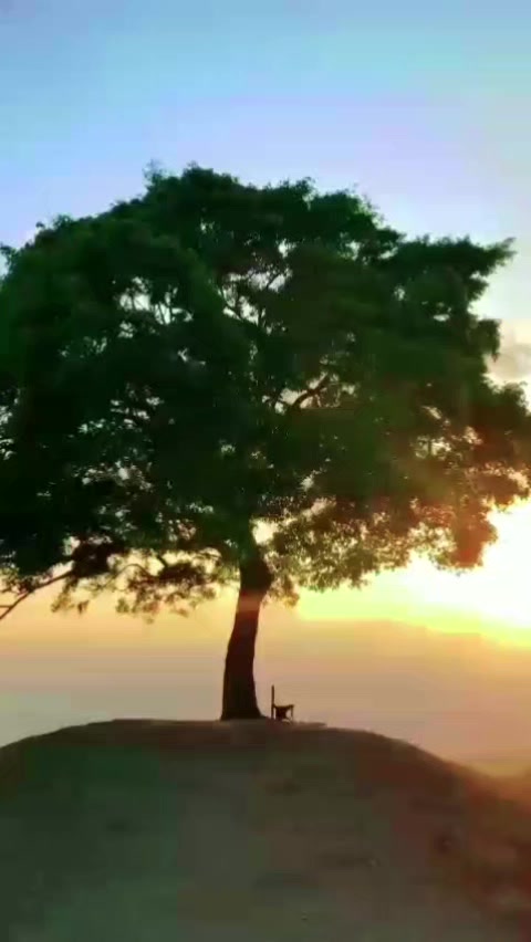 @Amoxcilin💊