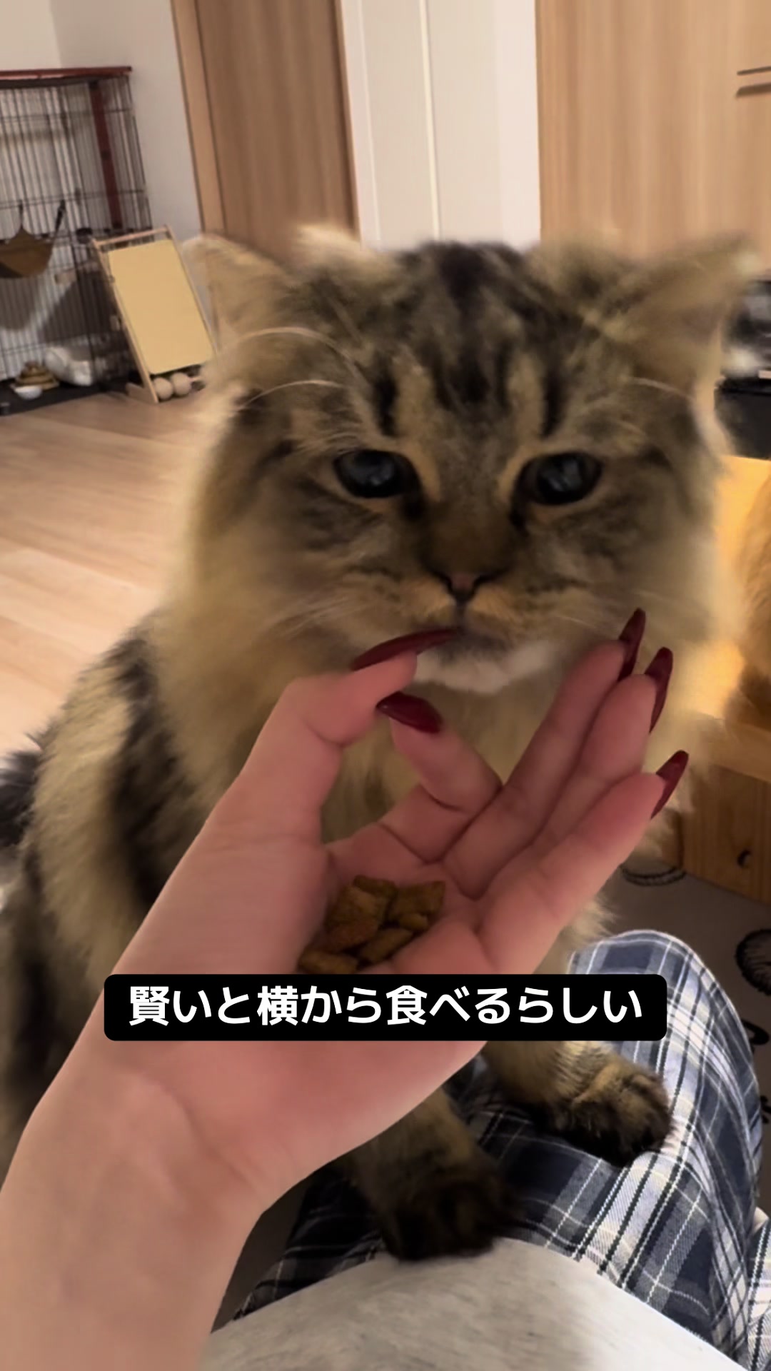 @ごろ