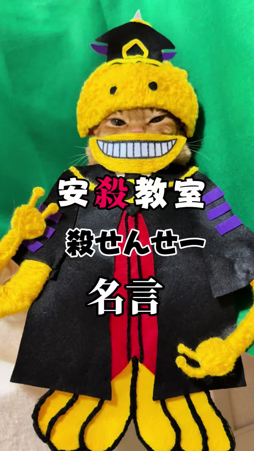 @猫の神様