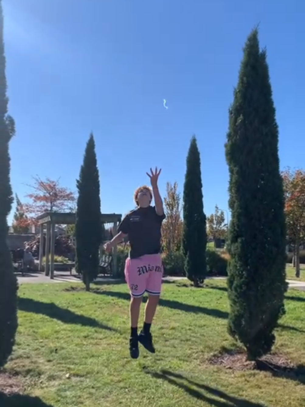 @coltbolt