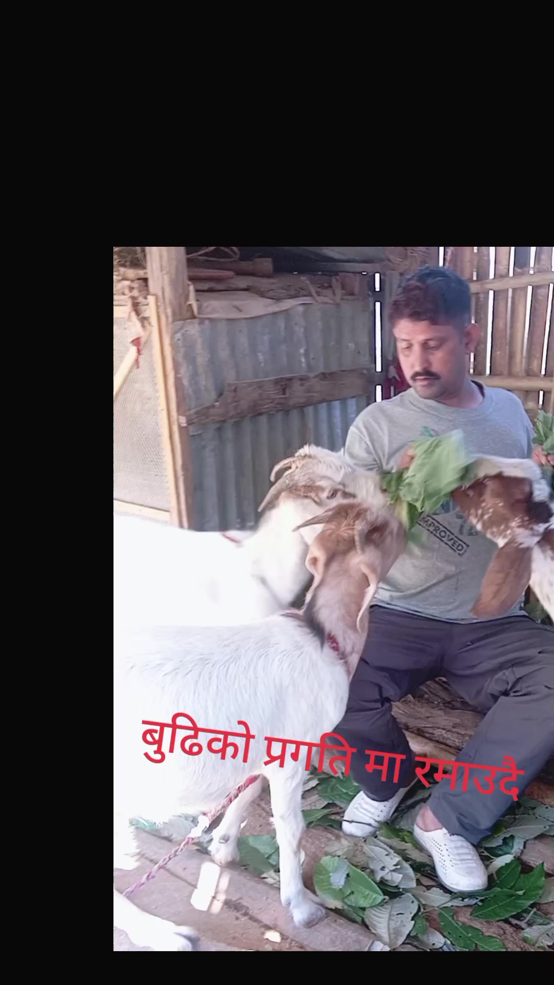 @BHARAT