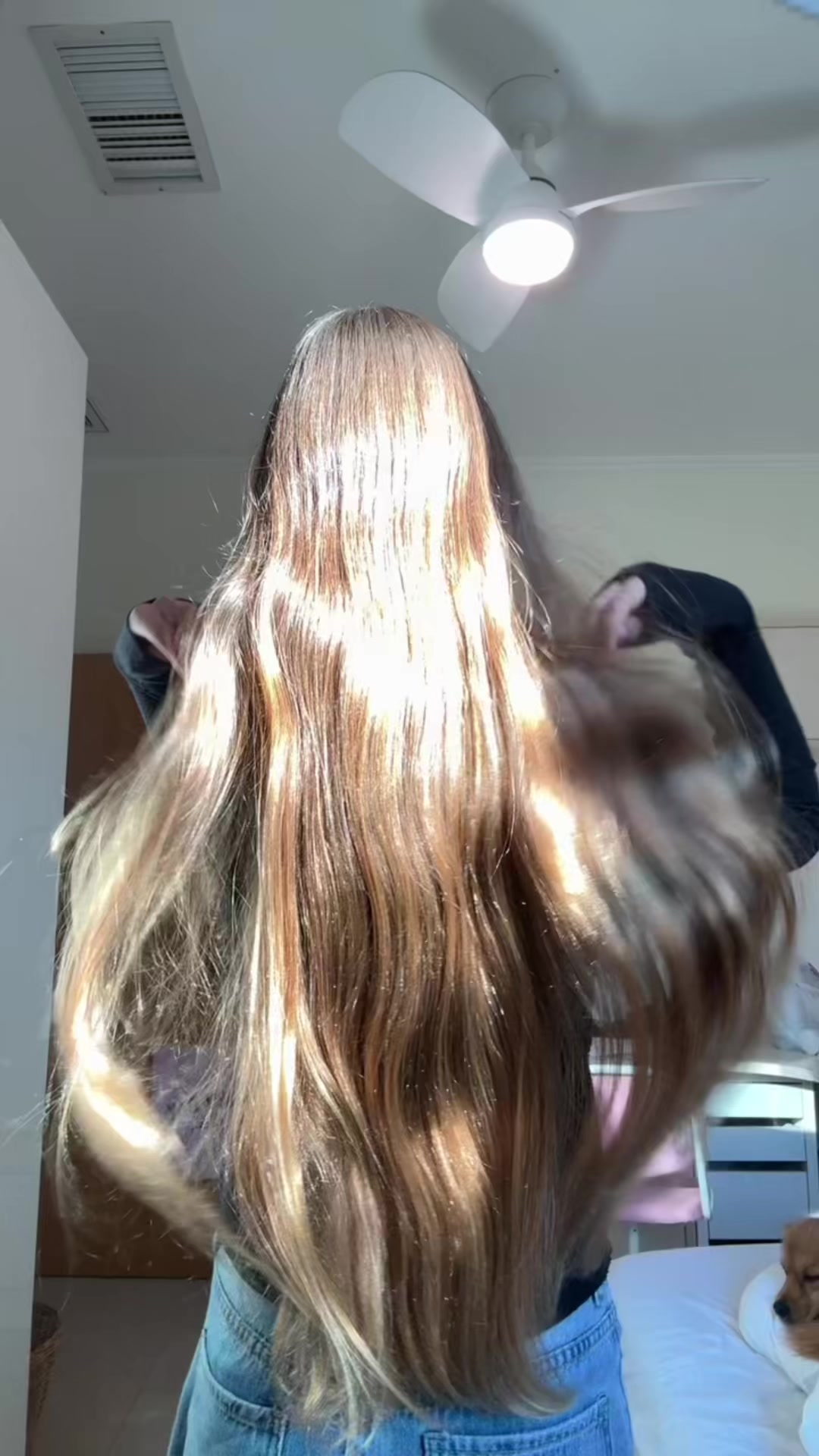 @Maya_spam