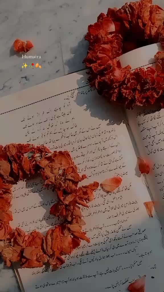 @Humaira🦋