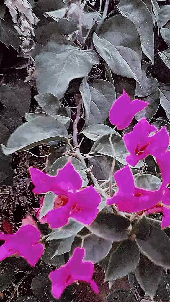 @இதய திருடன் அஸ்லம்