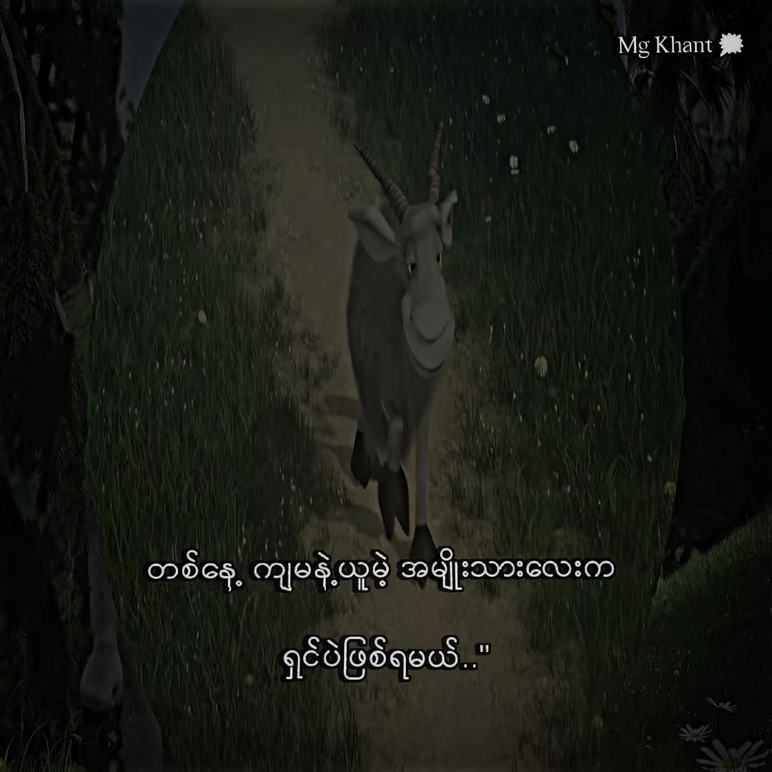 @ð
ðšð •|áŽÉ¢ áŽÊáŽÉŽáŽ á¥«á¡