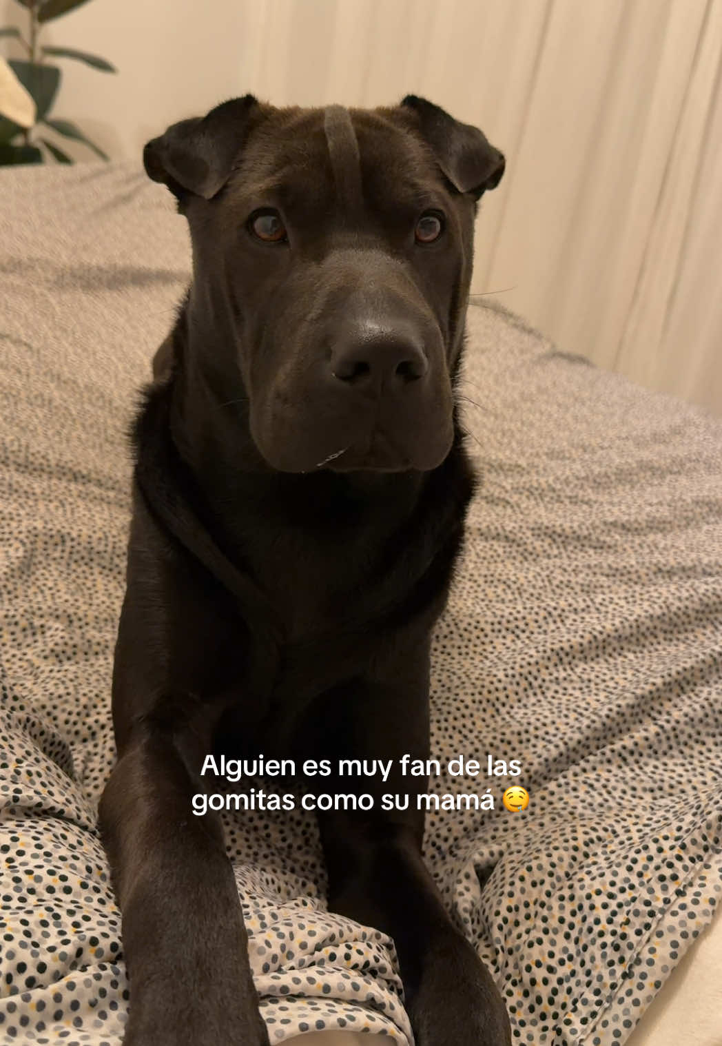 @cami.sala8