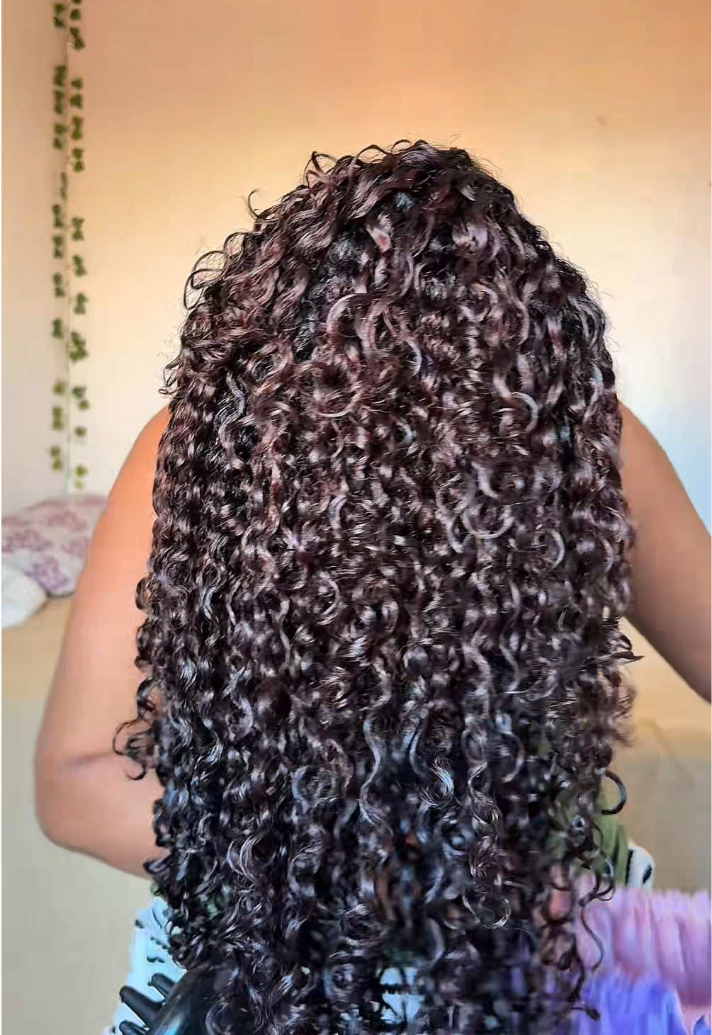 @brendinhacachos._