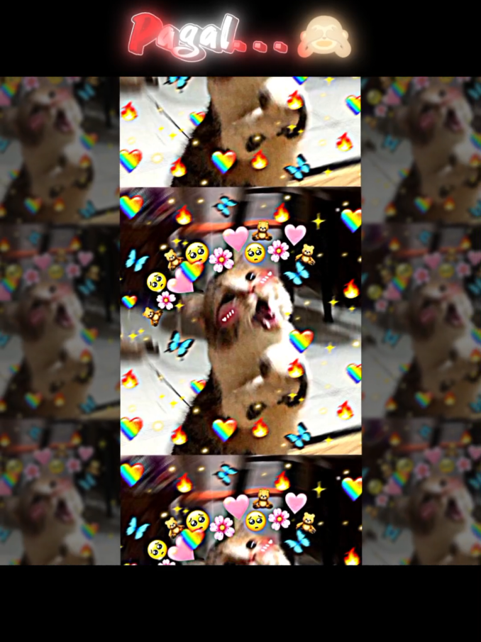 @๐๐ฎ๐๐ฎ.......๐๐งธ