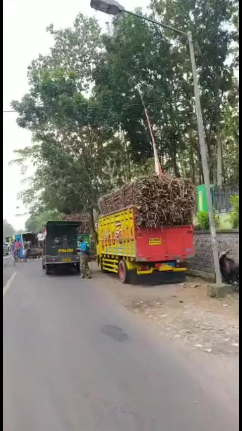 @bangjuanda591
