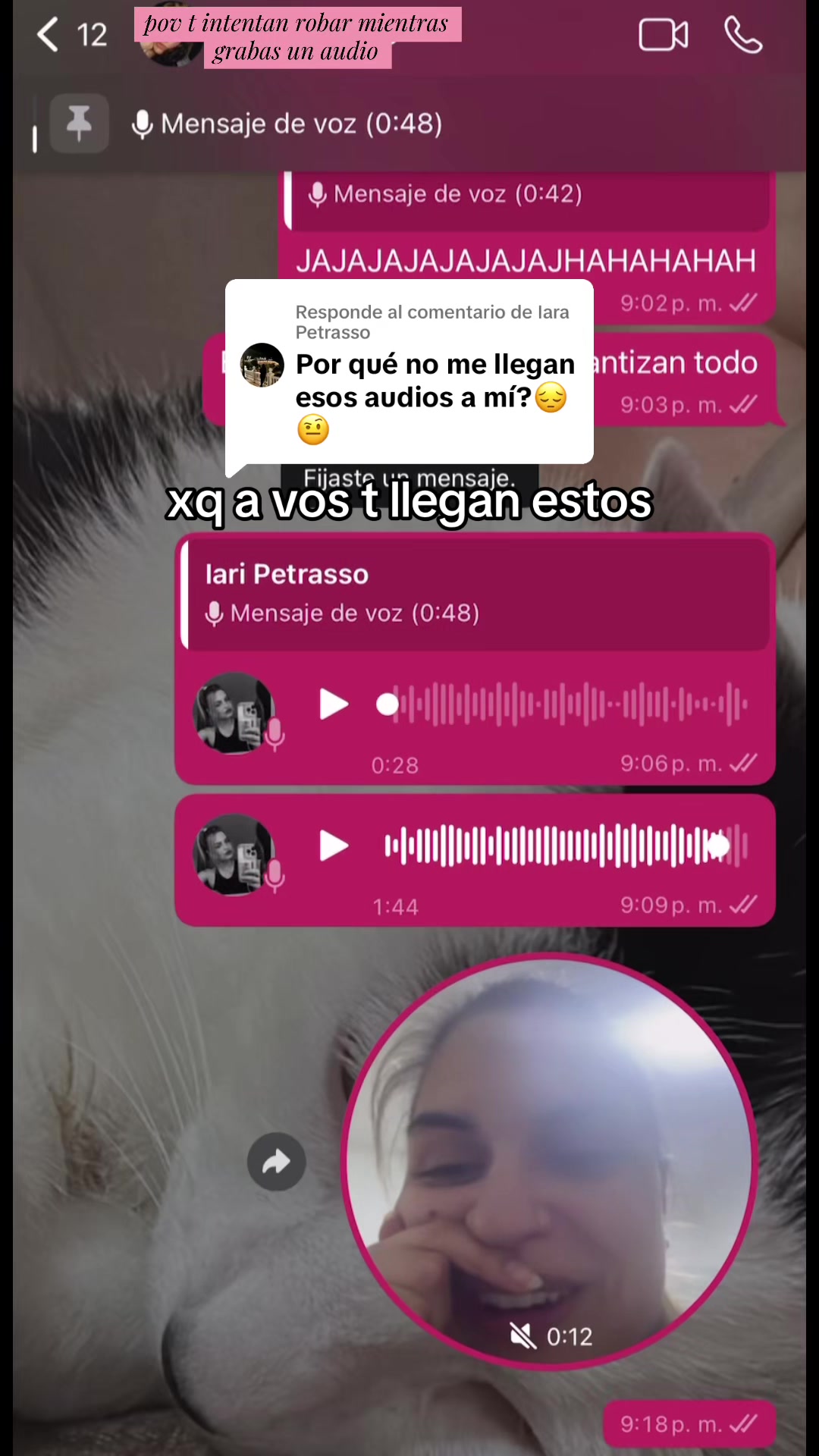 @maigolia