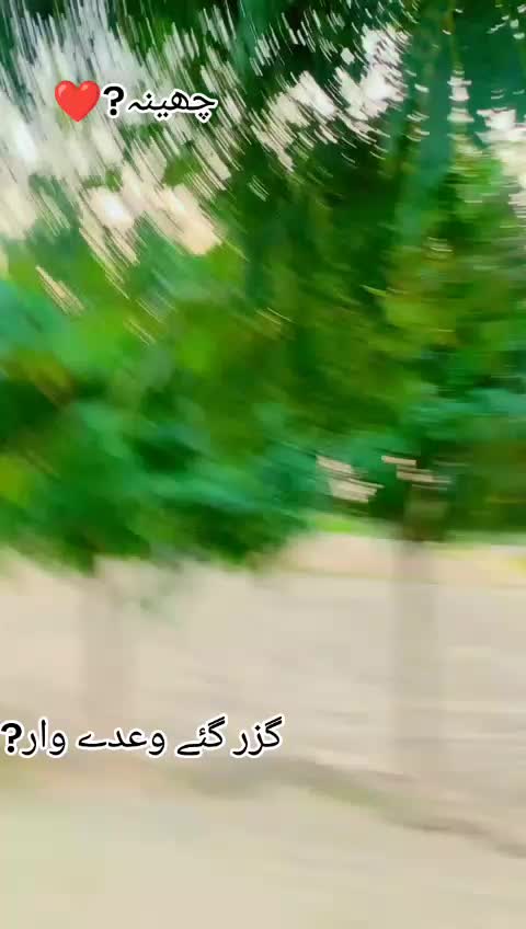 @SH&Atilde;H S&atilde;h&igrave;b