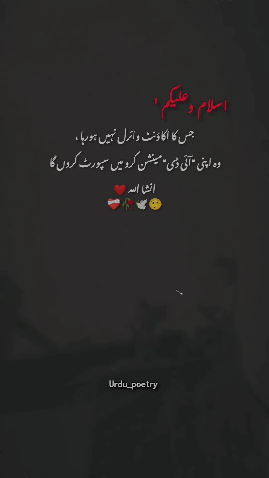 @𝐃𝐞𝐞𝐩 𝐥𝐢𝐧𝐞𝐬 ✨