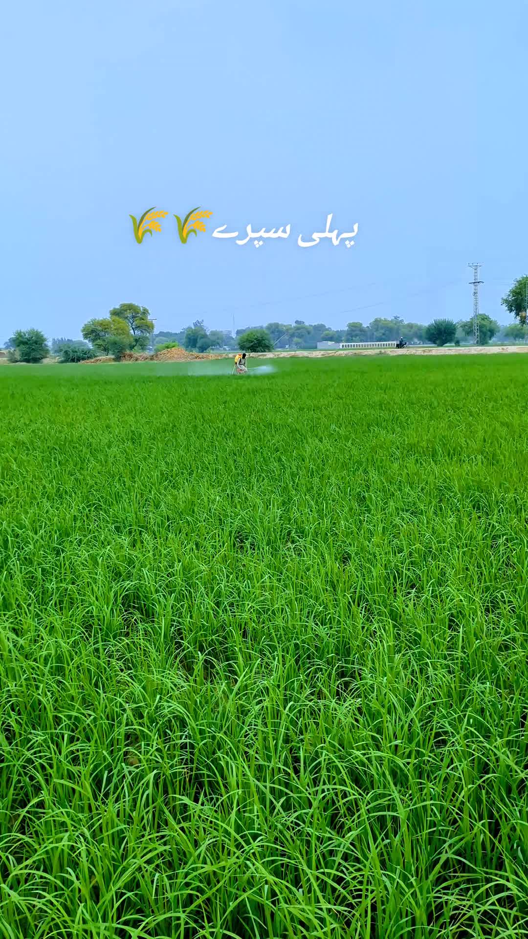 @CH ABDUL BASIT