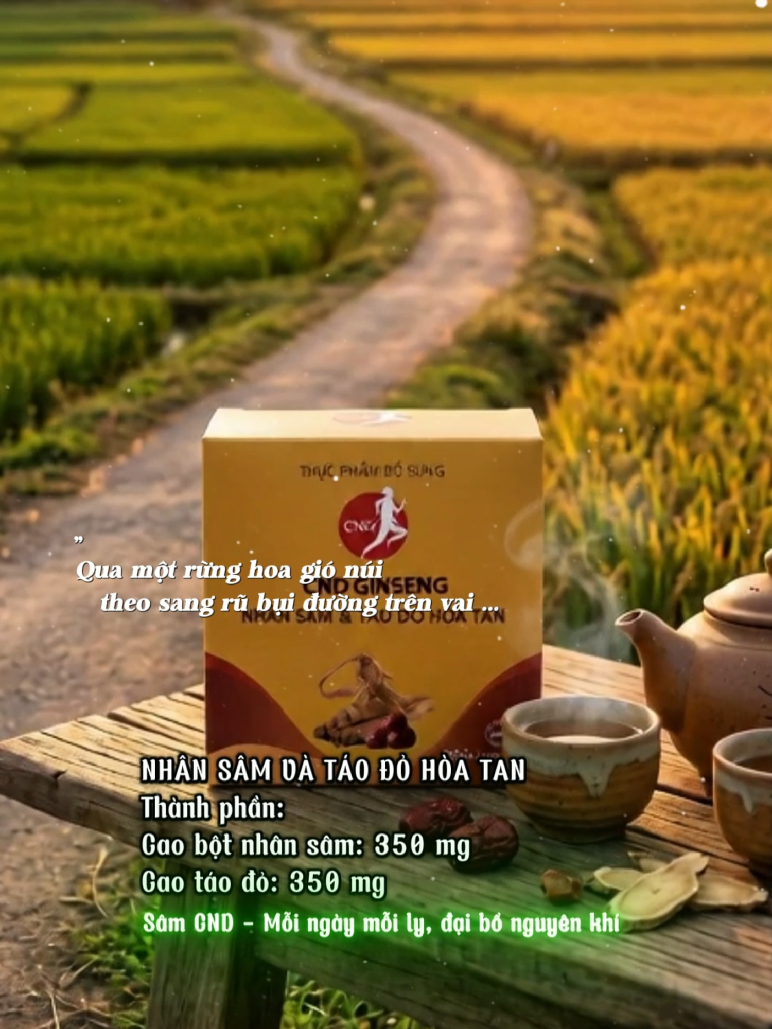 @CND GINSENG B&agrave; Rịa