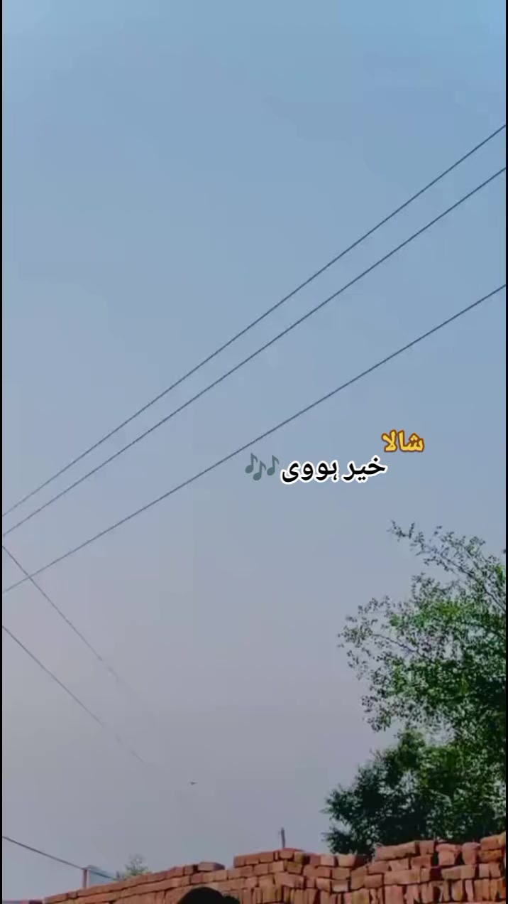 @✨ مزمل چنڑ ✨