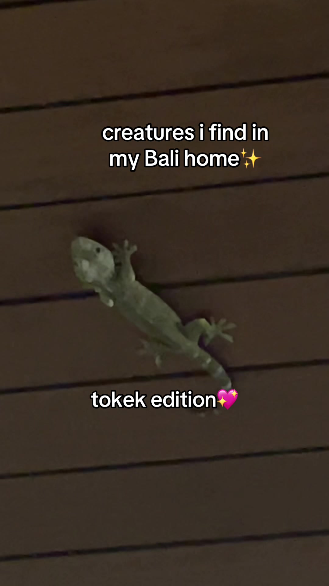 @Erika Prihadi