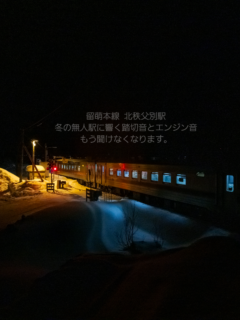 @Y.Tatsukawa/photography