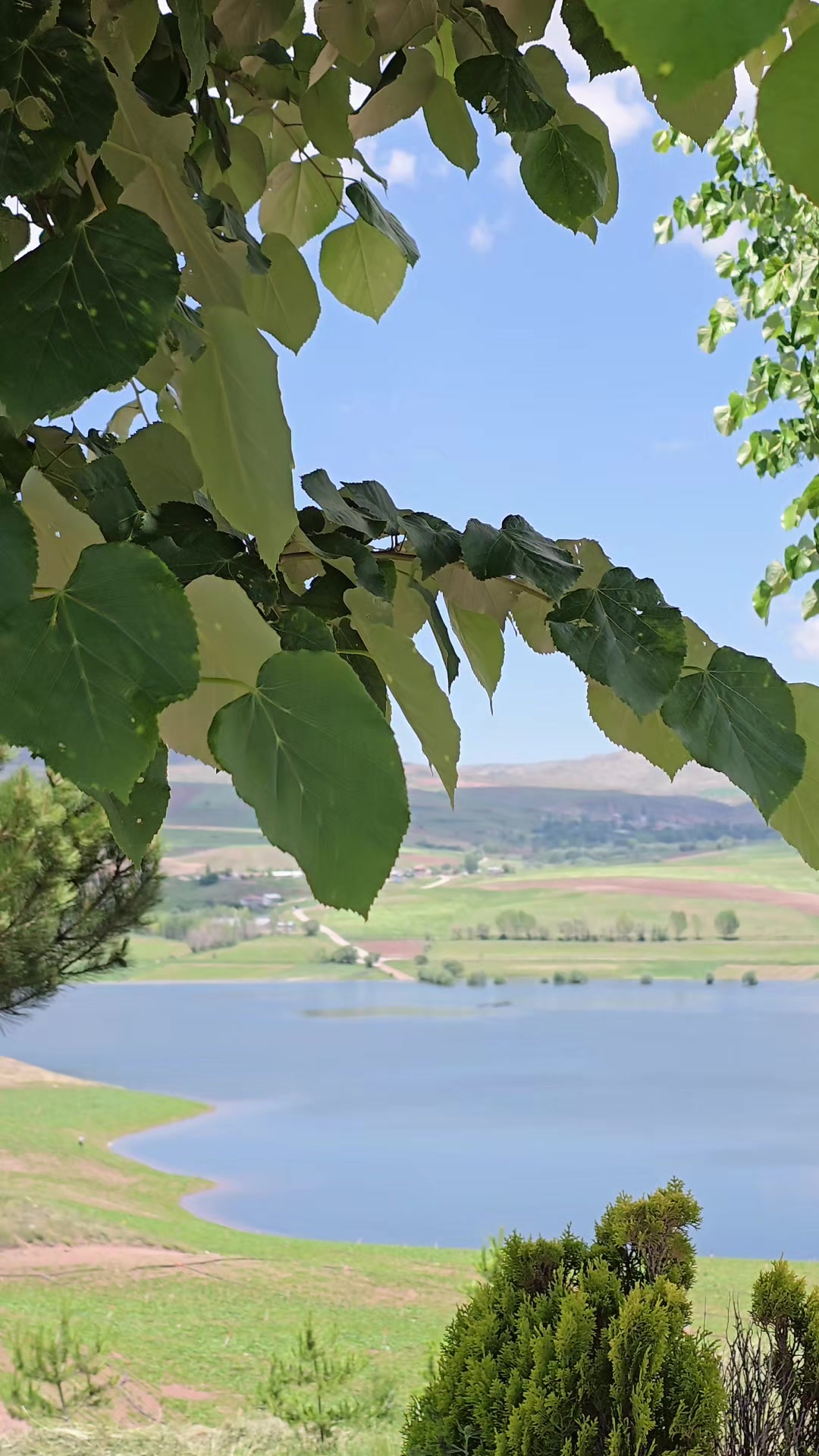 @Merve☘️