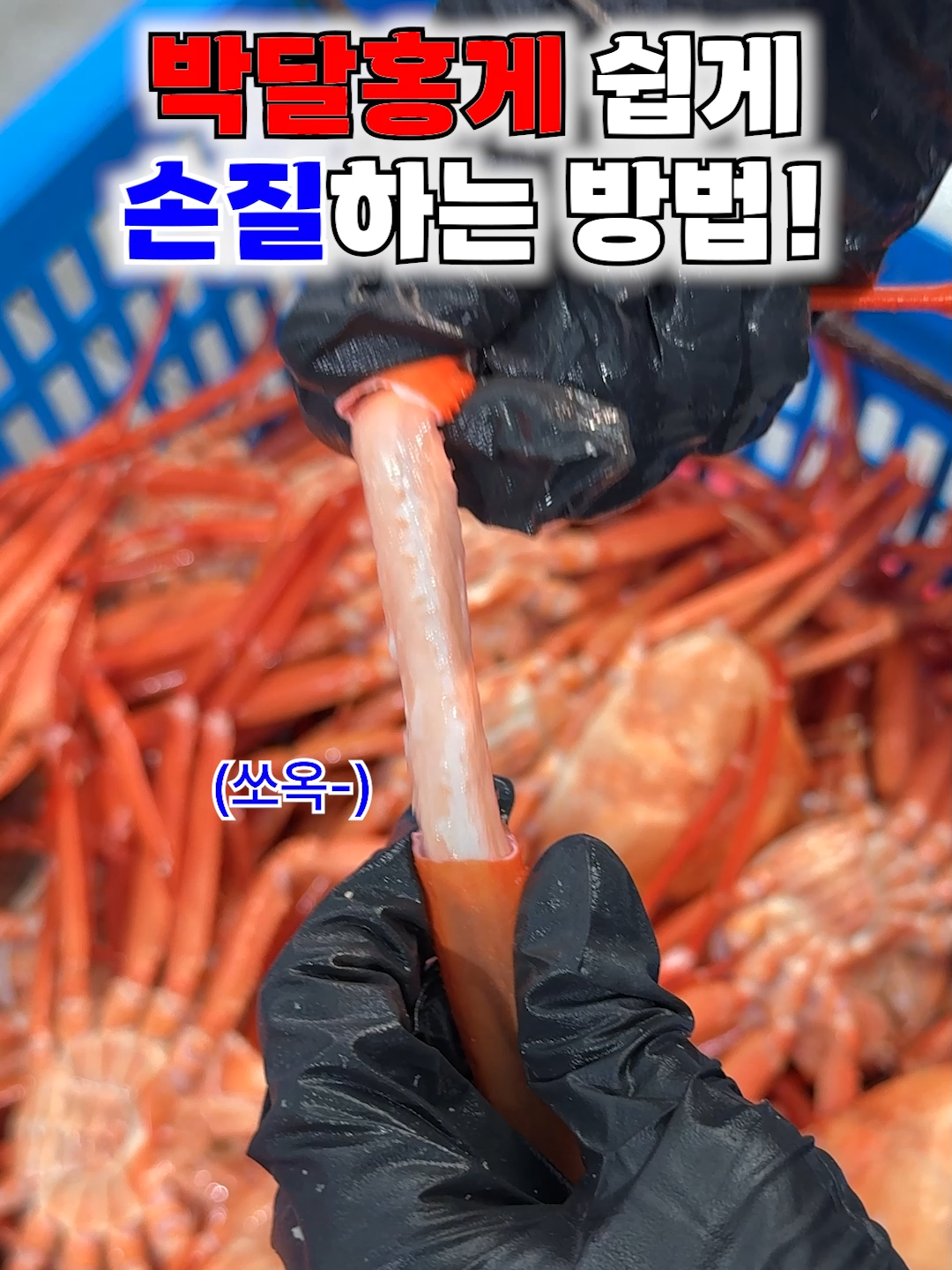 @싱싱헌터스