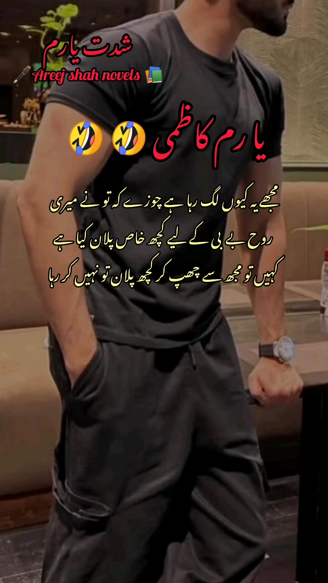 @Areej Shah Novels