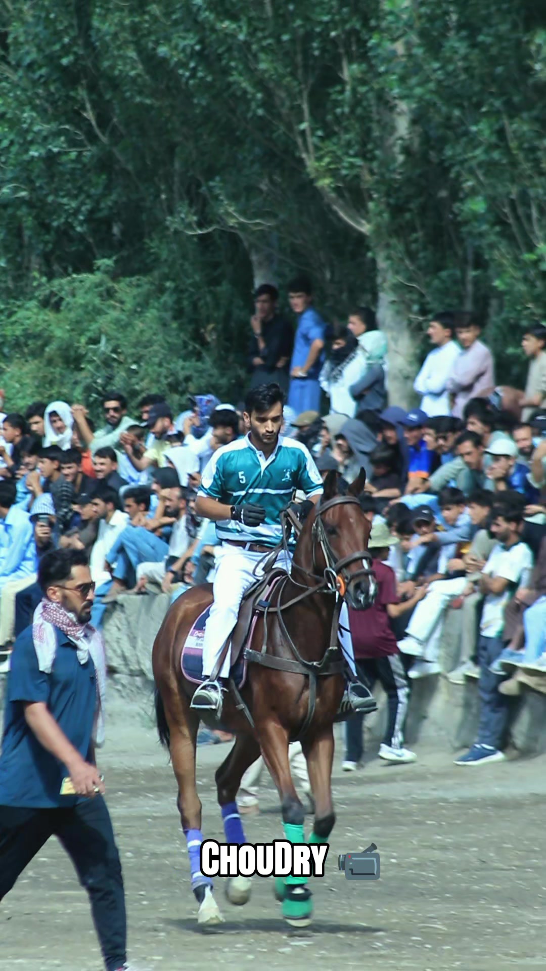 @️POLO ARCHIVE 👀🐴