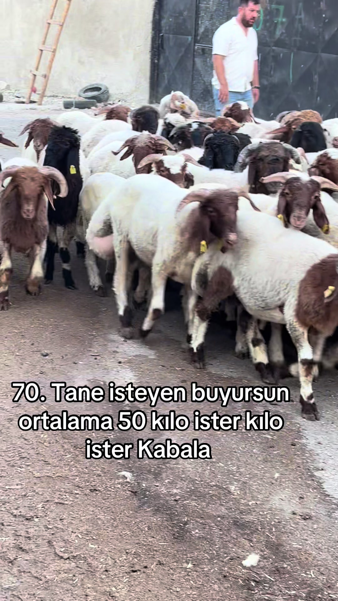@Ahmet S&ouml;nmez