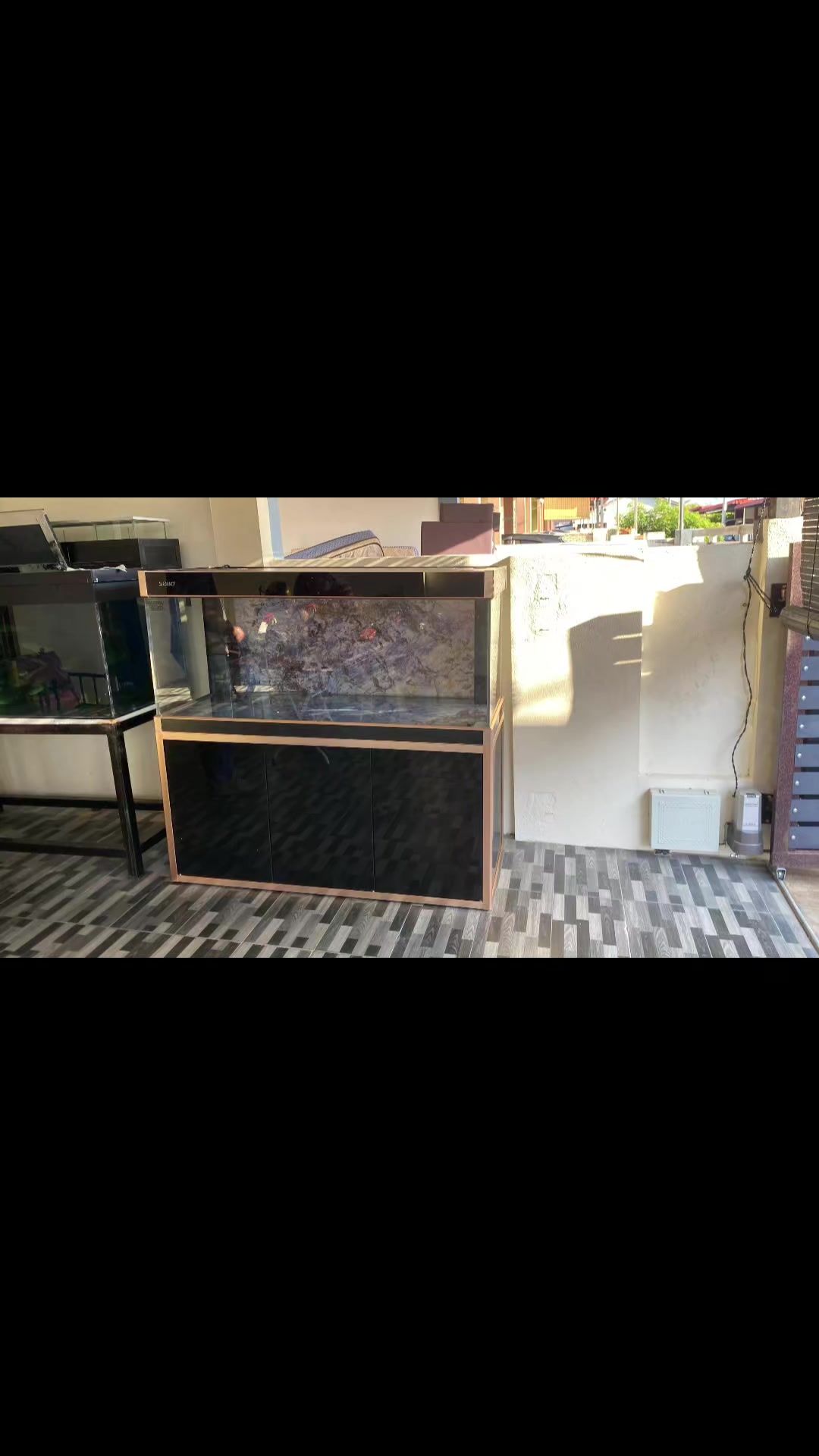 @Pearl Aquatics