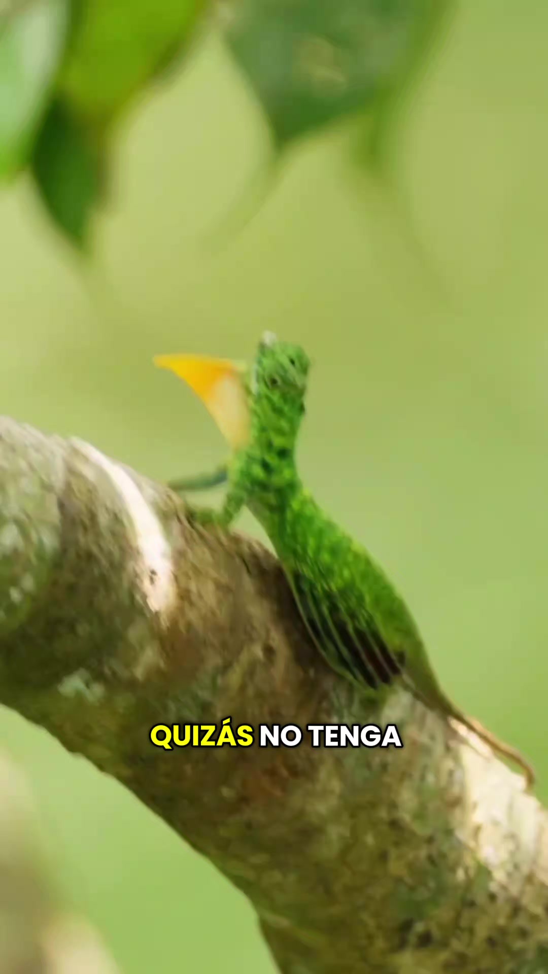 @Ismael Chee