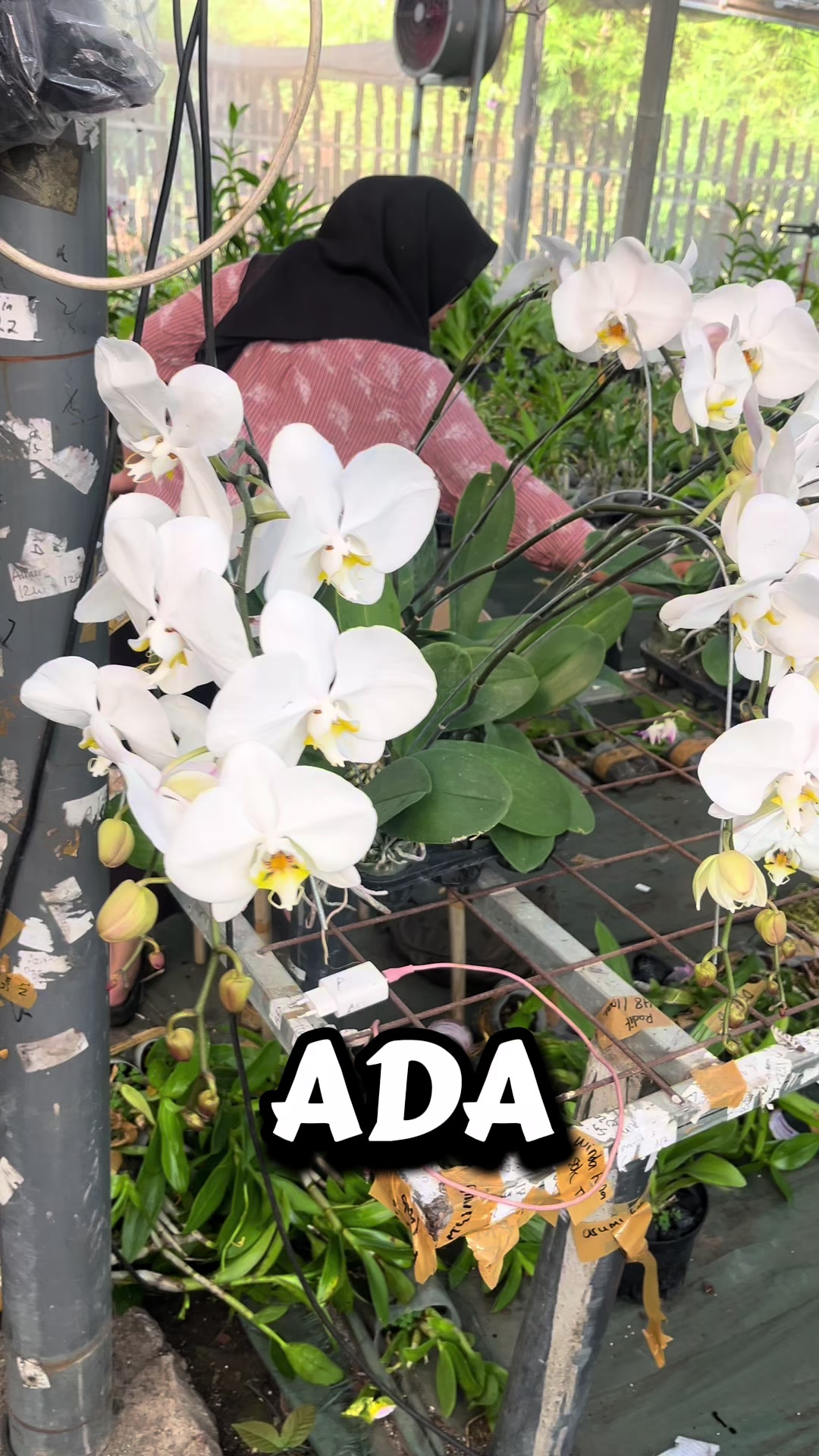 @Griya sekarindo utama