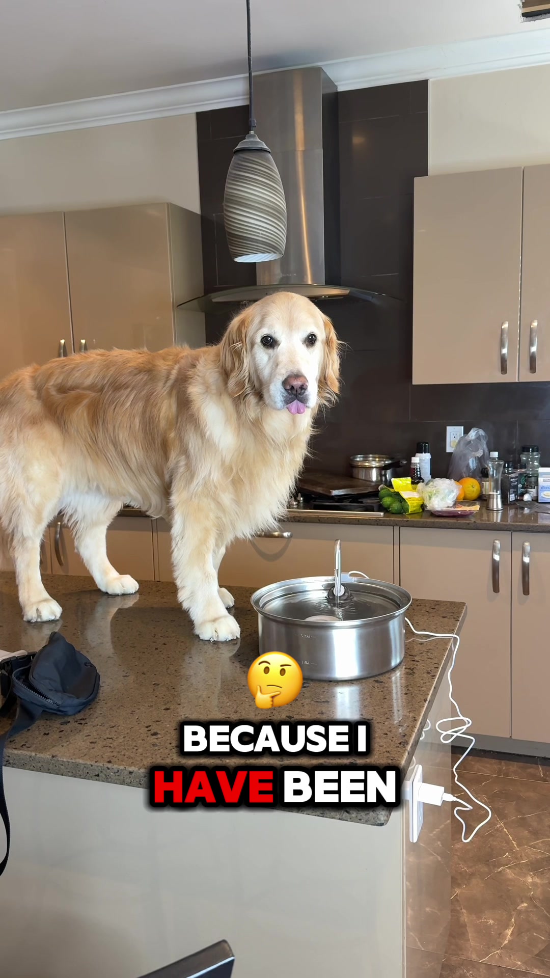@A Golden and Fam