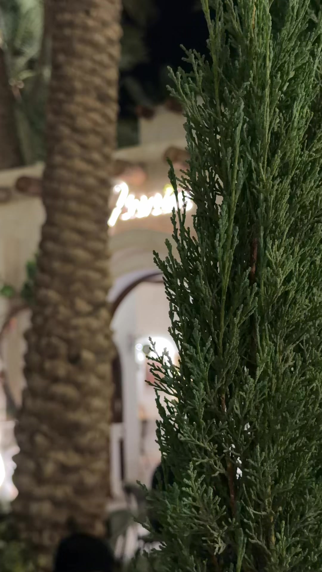 @Amani..✨📸