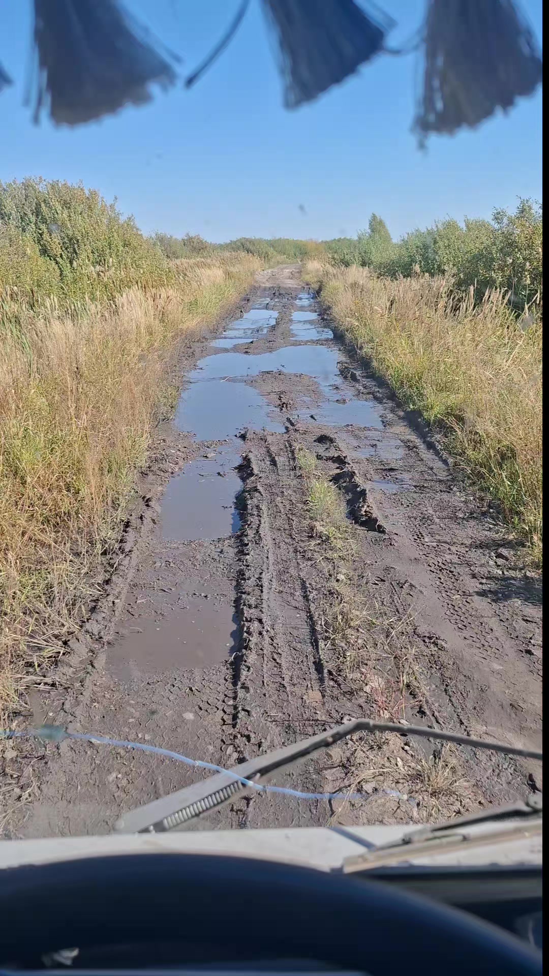 @Кирилл