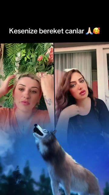 @Asİ hAtUn🦂