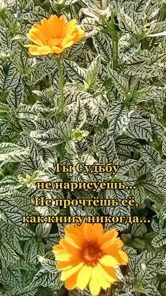 @Марина 🌹