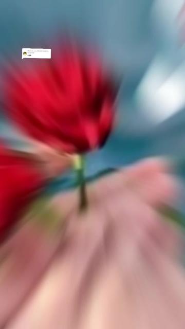 @𝐀𝐫𝐬𝐢𝐢 𝐦𝐲 𝐤𝐢𝐧𝐠𝐚𝐚👌