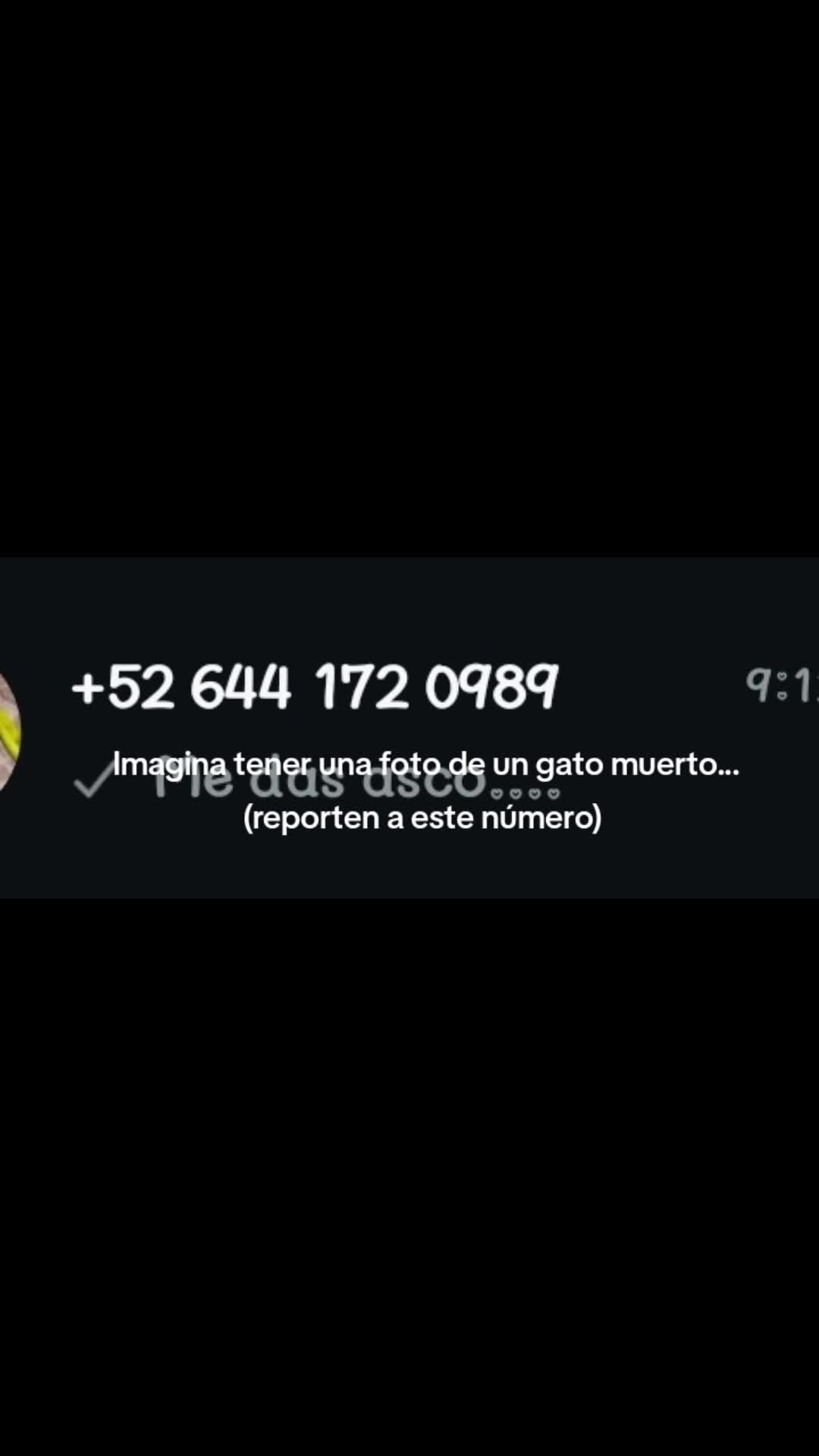 @༻𝙨𝙥𝙧𝙞𝙣𝙜𝙩𝙧𝙖𝙥cr༺(flop)