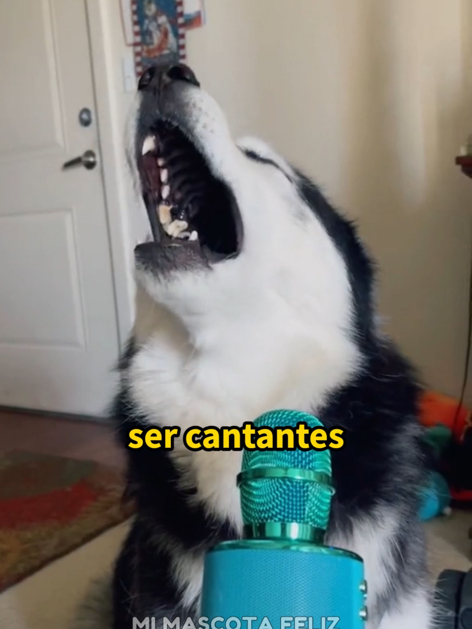 @Mi Mascota Feliz