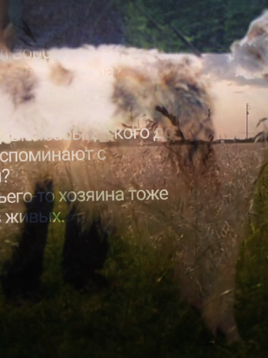 @пария