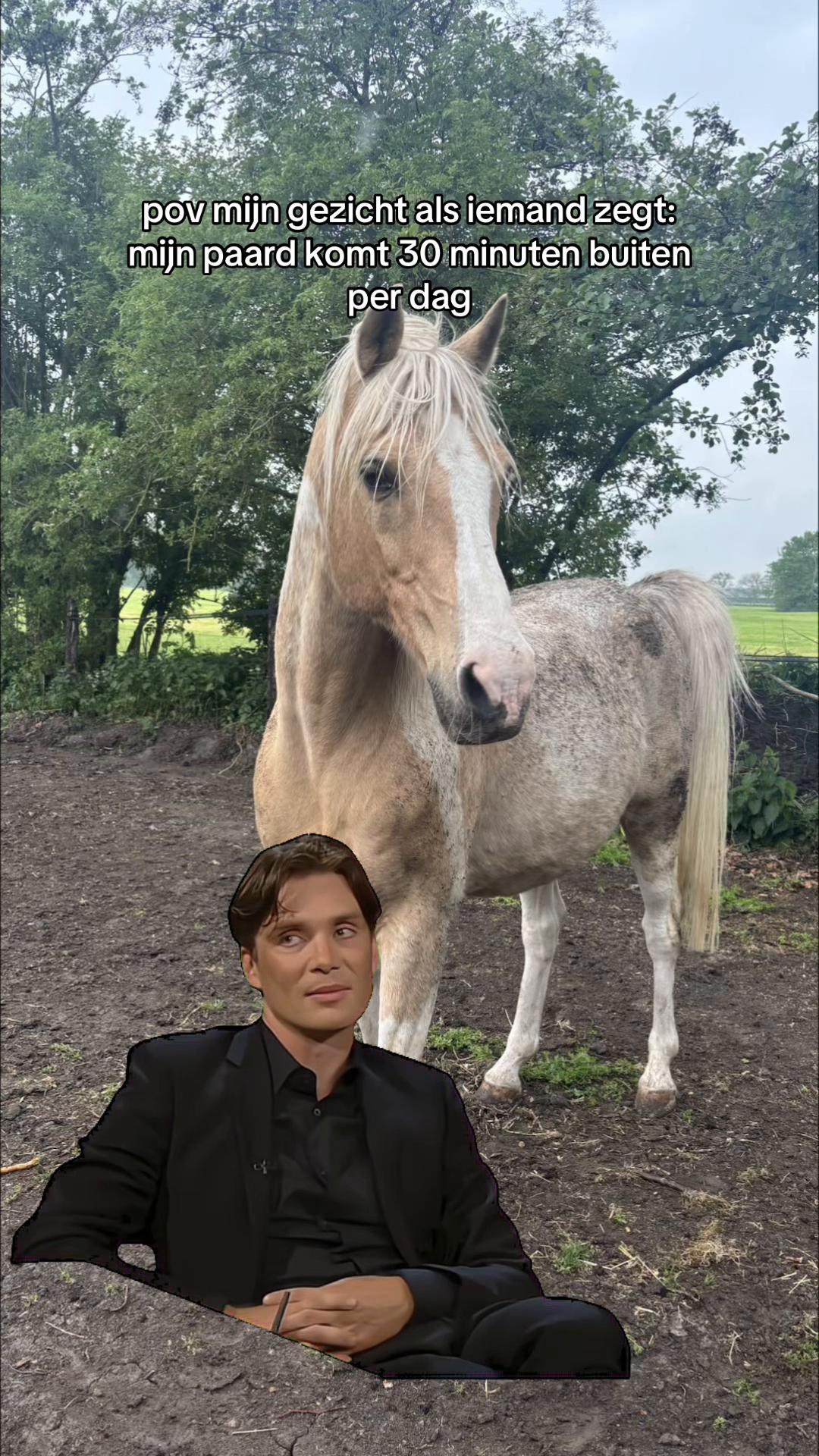@dovda.horsemanship