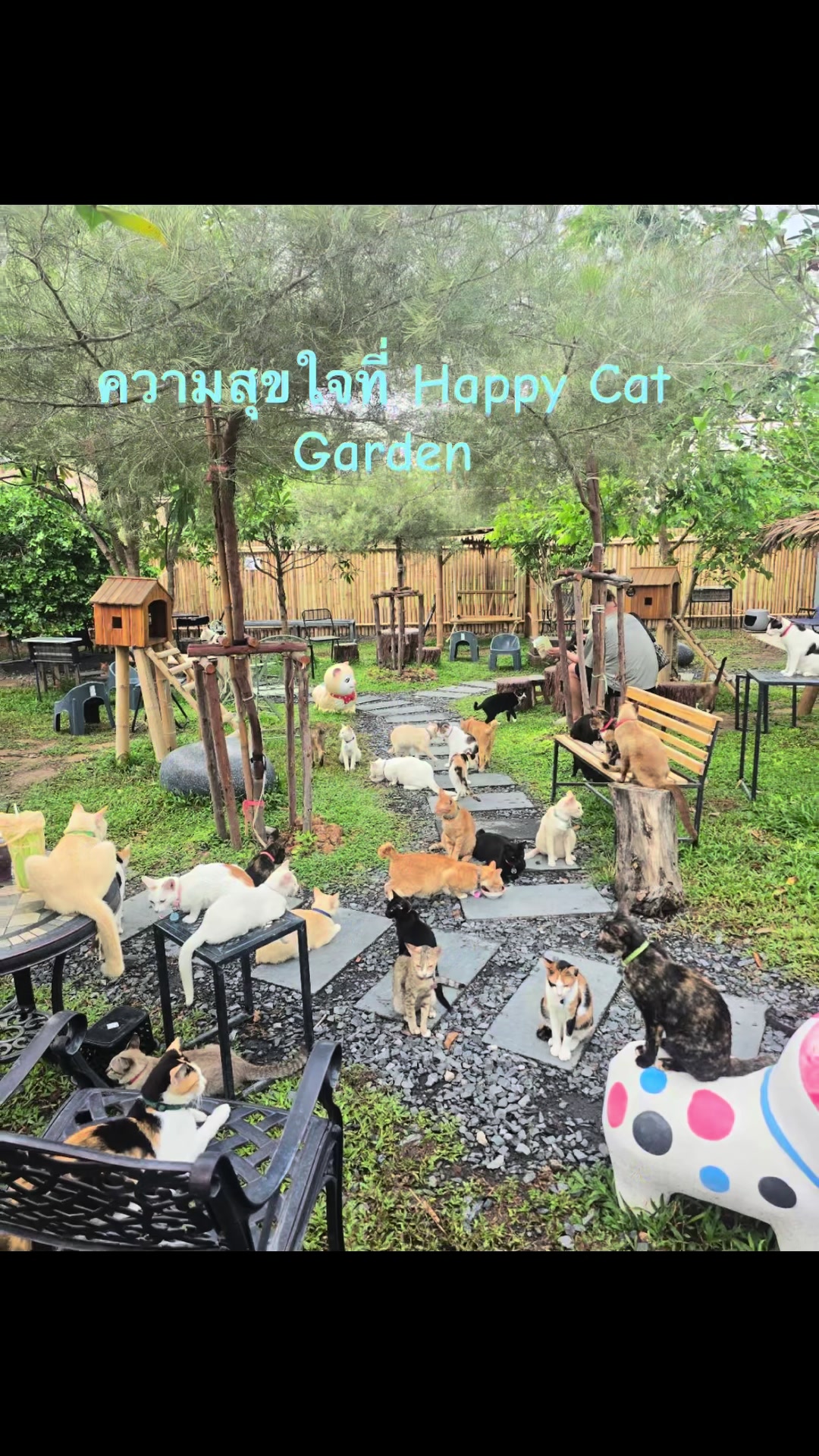 @happycatgarden.thailand
