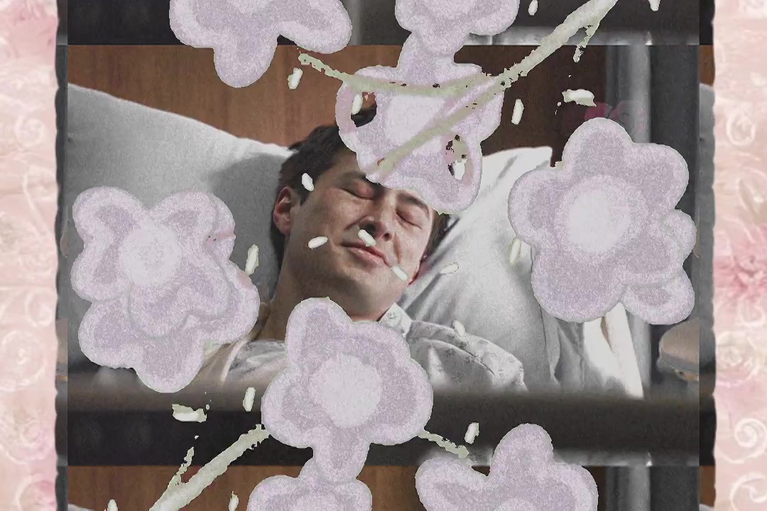 @𝐯.