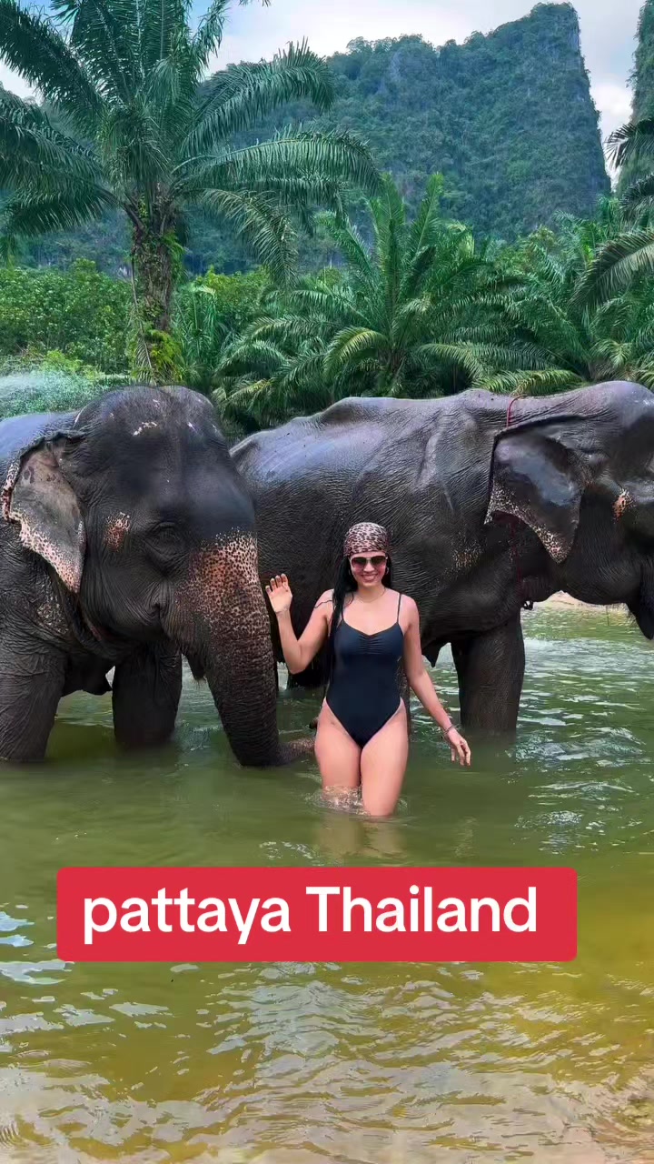 @traveller queen🙏🇳🇵🇦🇪
