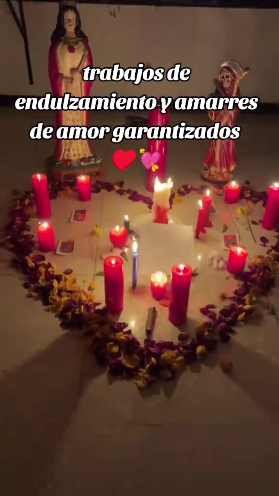 @brujamayor20262