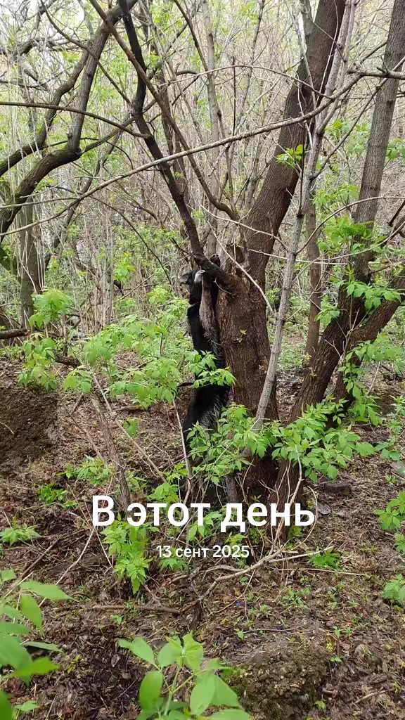 @Evgeniy