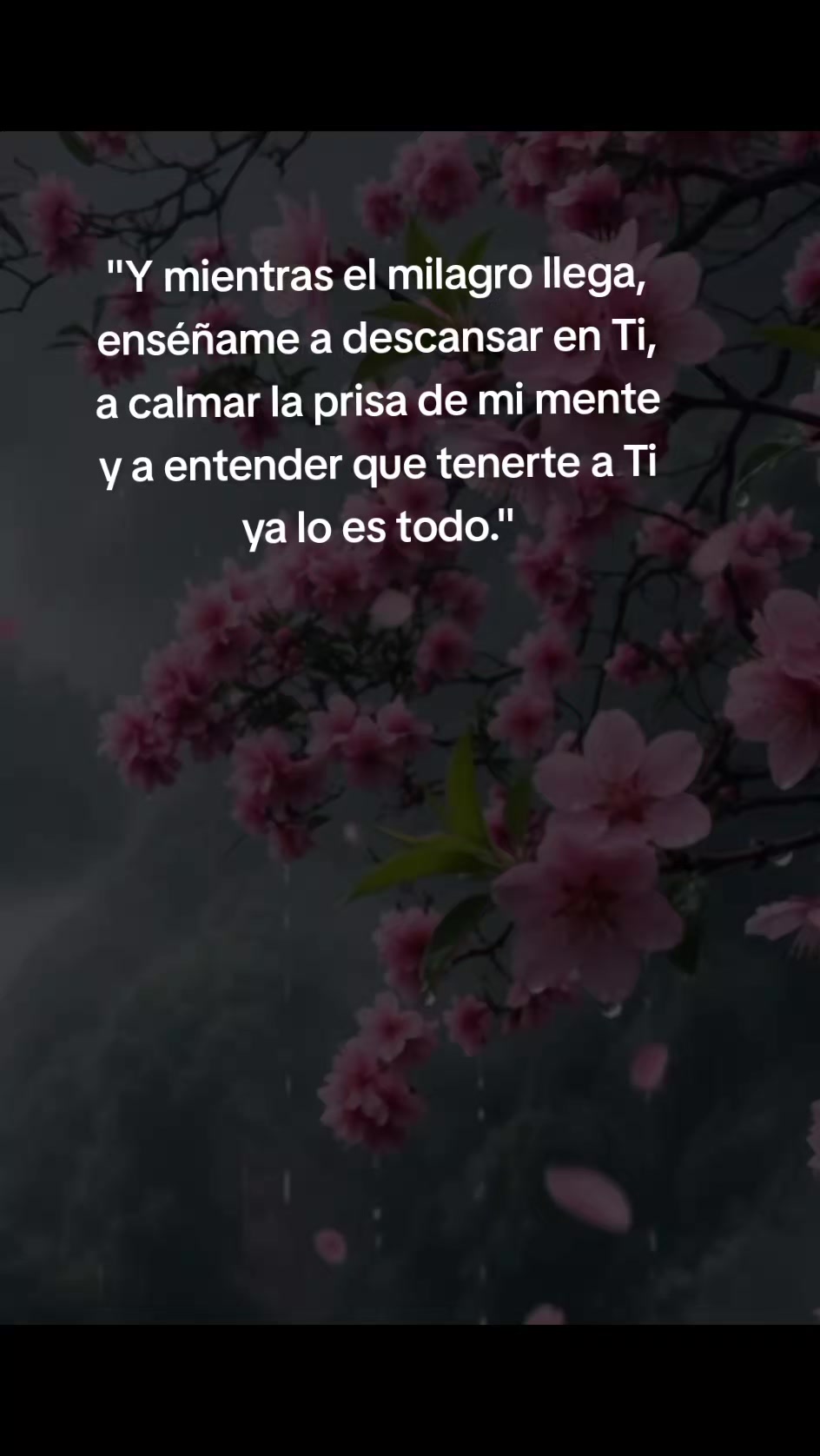 @🎀🫧𝕍𝕖𝕣ó𝕟𝕚𝕔𝕒🫧🎀